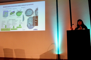 Lynne Macaskie, University of Birmingham, B3: Microbial synthesis of metallic nanoparticles: multiple opportunities and selected case histories for valorization of wastes into value products